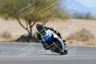 media/May-12-2024-SoCal Trackdays (Sun) [[ad755dc1f9]]/10-Turn 4 Tree of Life (1120am)/